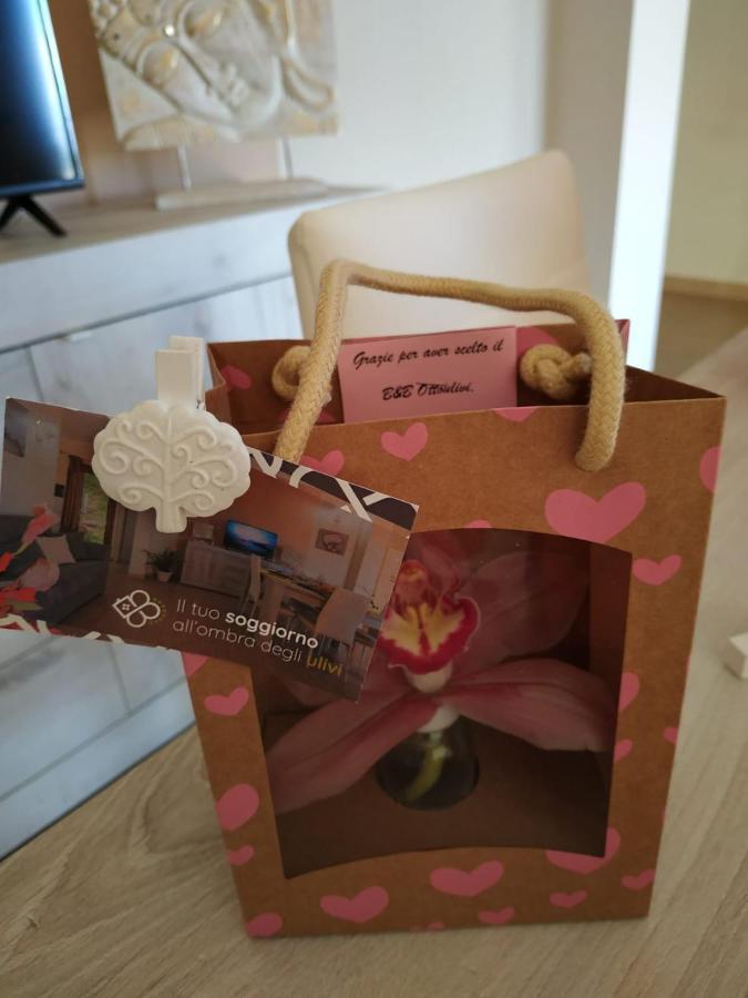 B&B Ottoulivi Sardara Eksteriør billede